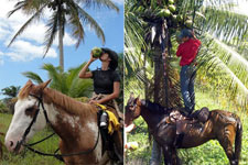 Brazil-Bahia-Bahia Beach Ride